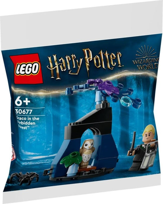 Draco in the Forbidden Forest 30677